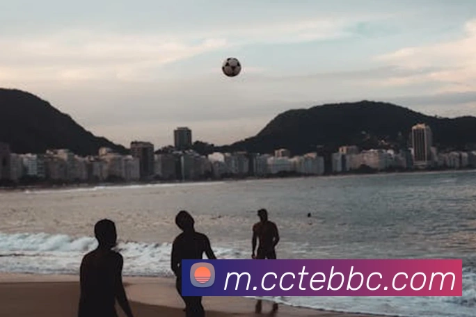 开云官方版网站登录入口APP 封面图